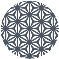 Motif Aljaferia