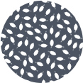 Motif Cerisierr